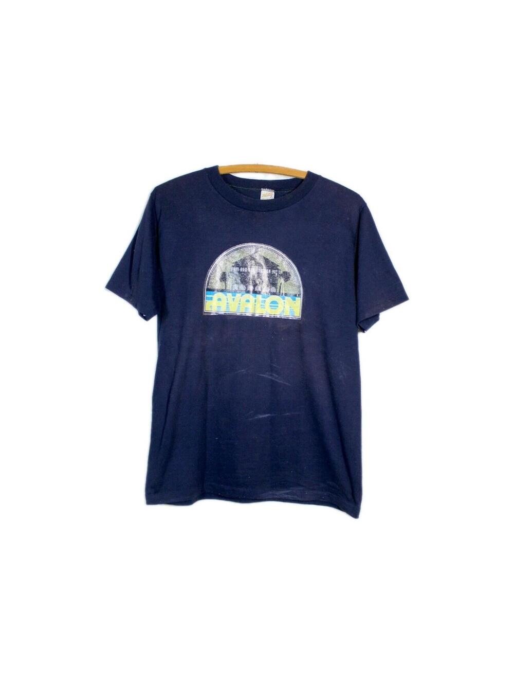 Vtg 70s Avalon Tshirt M Catalina Island LA SoCal History Iron On M 38 40